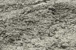 Concrete and fibres