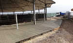 Case Study South Farm_1
